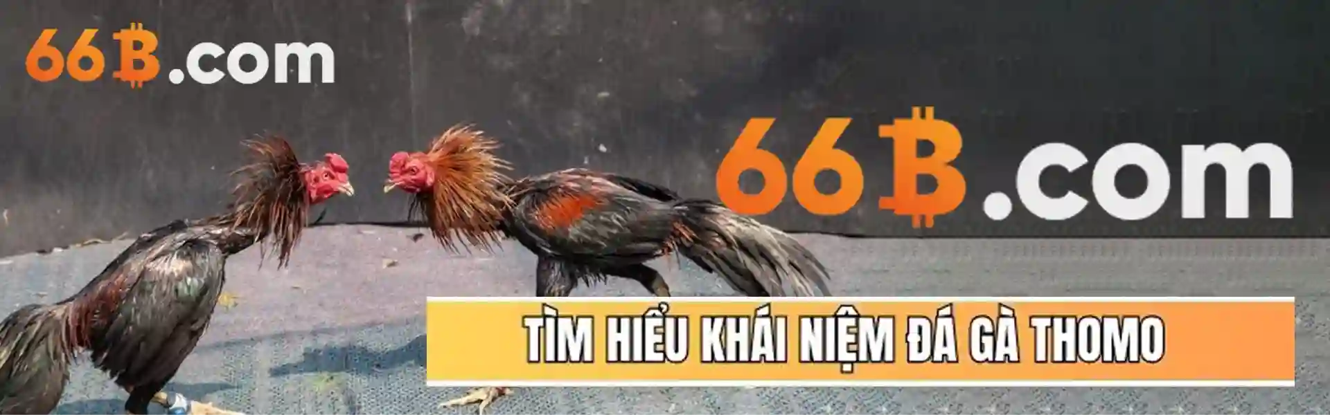 888SLOT